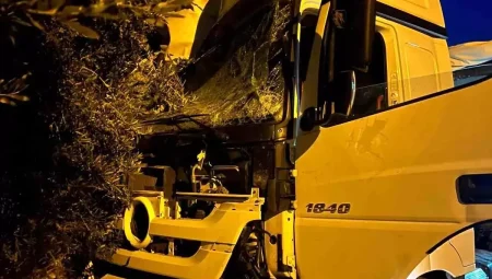 Mersin’de Denetimden Çıkan Tır, Ortalığı Savaş Alanına Döndürdü